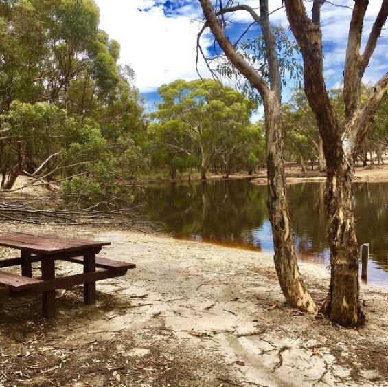 Dryandra Woodland National Park, Australia